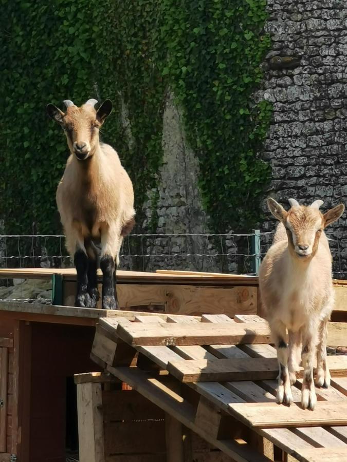 Au Domaine De Gigie Bed and Breakfast Chervettes Εξωτερικό φωτογραφία